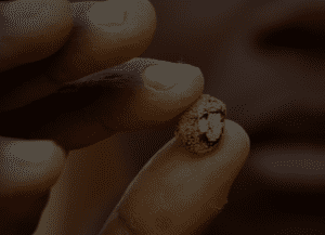 Goldore Resources Ethical Responsible Jewellery