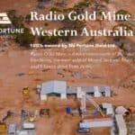 NuFortune Radio Gold