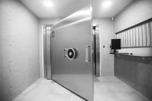 The Safe House Vault Door