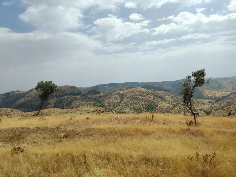 Osmond’s permit area