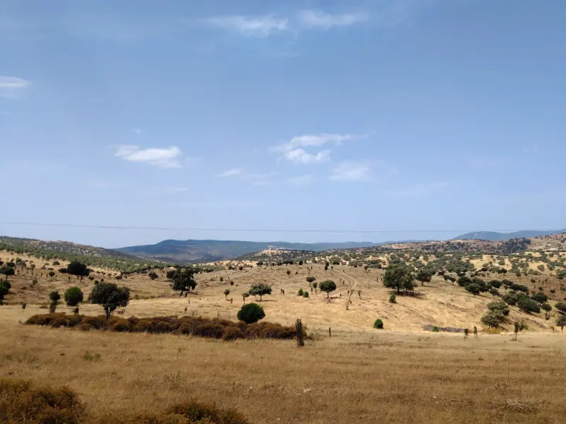 The permit covers 228km